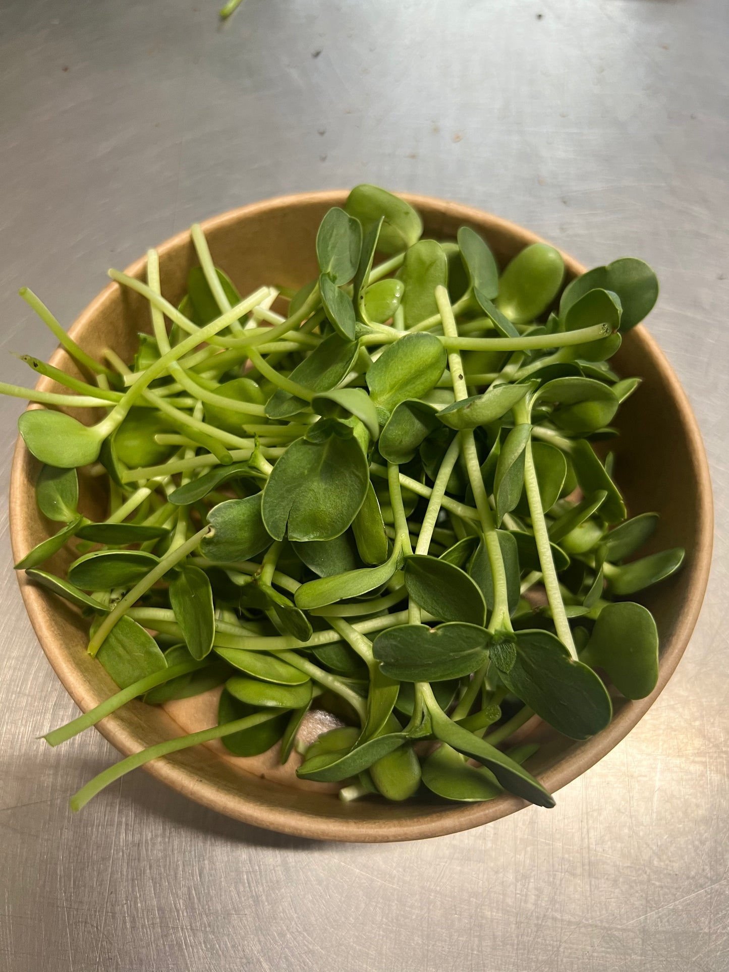 Microgreens - punnet