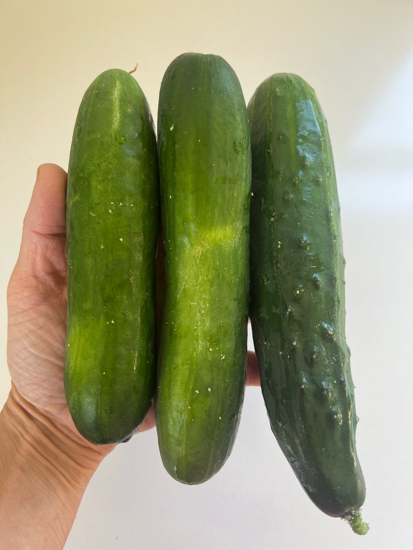 Cucumbers