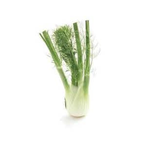 Fennel