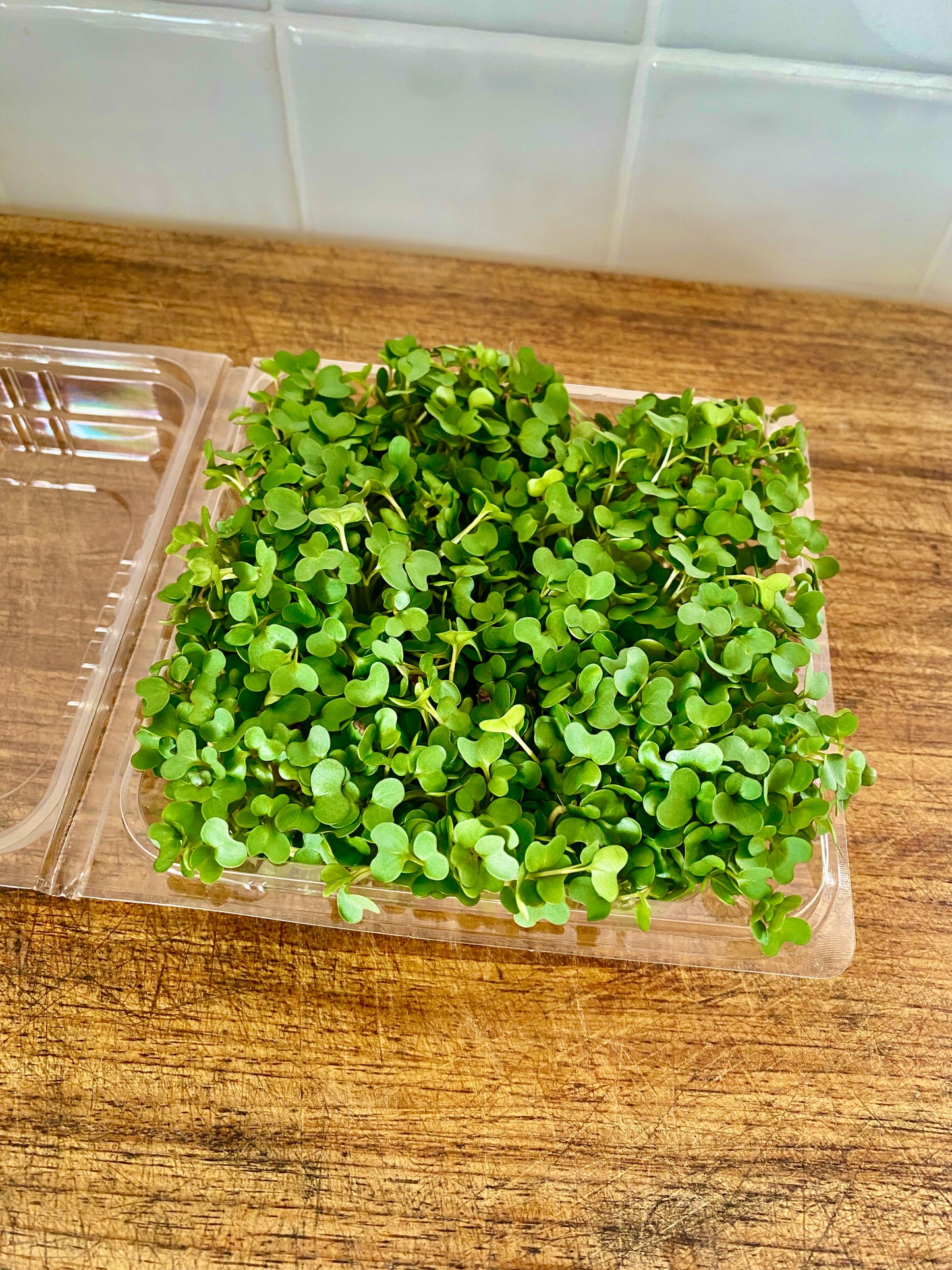 Microgreens - punnet