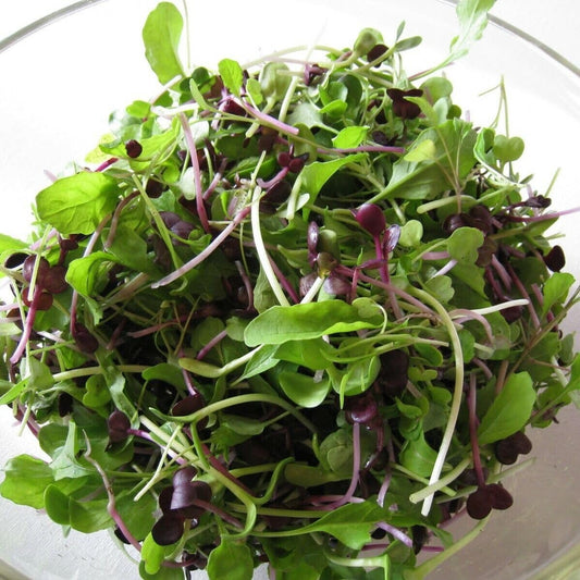Microgreens