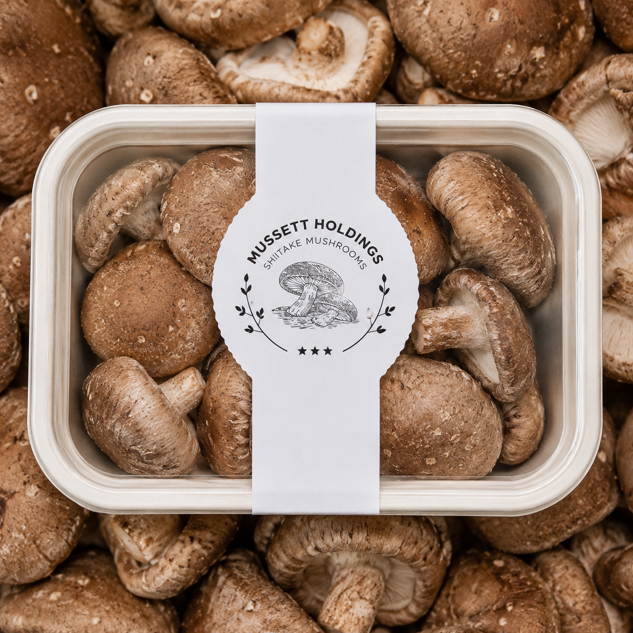 Mushroom Box - Shiitake