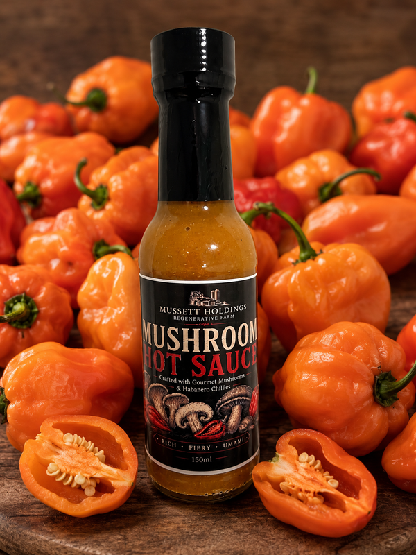 Mushroom Hot Sauce