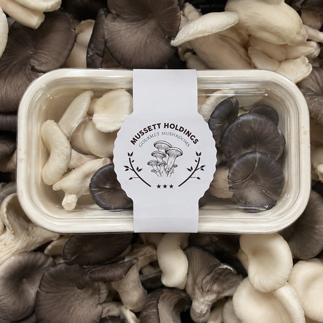 Container of mushrooms with a 'Mussett Holdings' label surrounded by mixed mushrooms.