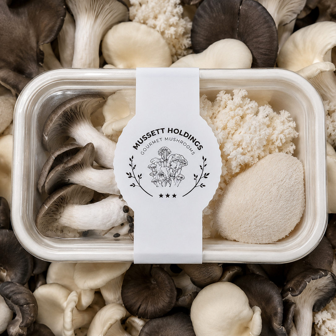 Container of mushrooms with a Mussett Holdings label surrounded by various types of mushrooms.
