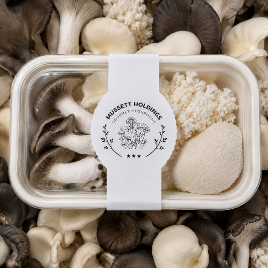 Container of mushrooms with a Mussett Holdings label surrounded by various types of mushrooms.