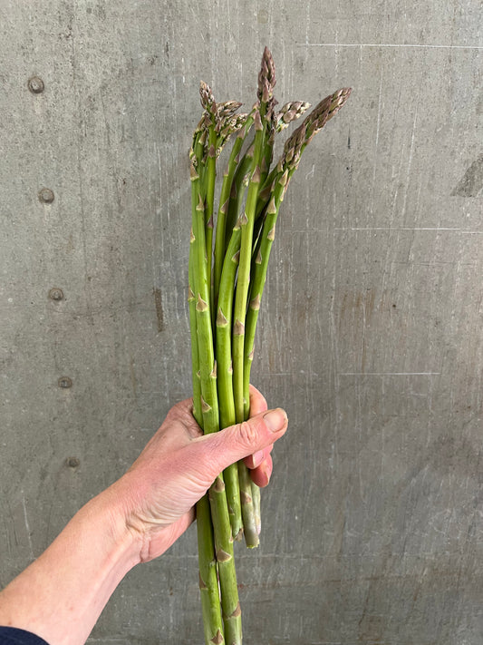 Asparagus