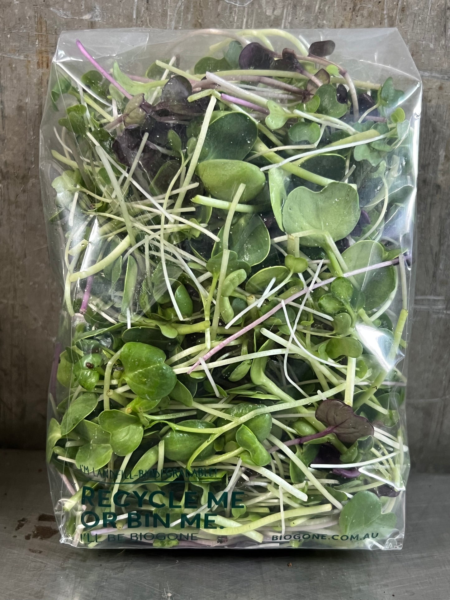 Microgreens