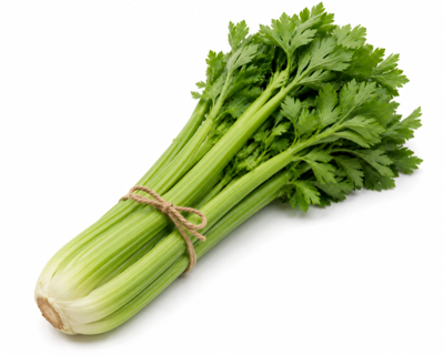 Celery