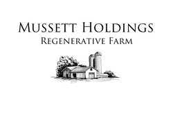 Mussett Holdings