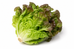 Mignonette Lettuce