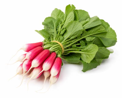 Radish