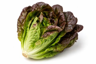 Red Gem Lettuce