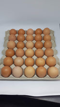 Load image into Gallery viewer, Farm Fresh Eggs - Tray 30 - 800g+ - Mussett Holdings