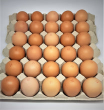 Load image into Gallery viewer, Farm Fresh Eggs - Tray 30 - 800g+ - Mussett Holdings