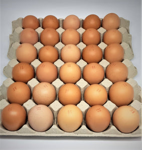 Farm Fresh Eggs - Tray 30 - 800g+ - Mussett Holdings