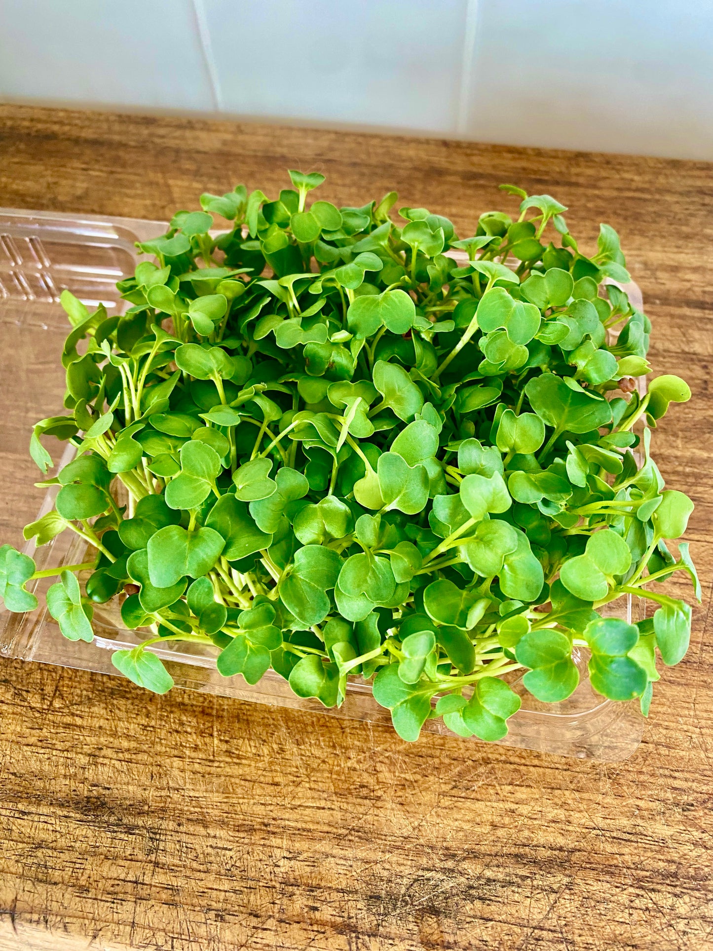 Microgreens - punnet