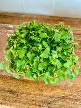 Load image into Gallery viewer, Microgreens - punnet