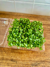 Load image into Gallery viewer, Microgreens - punnet