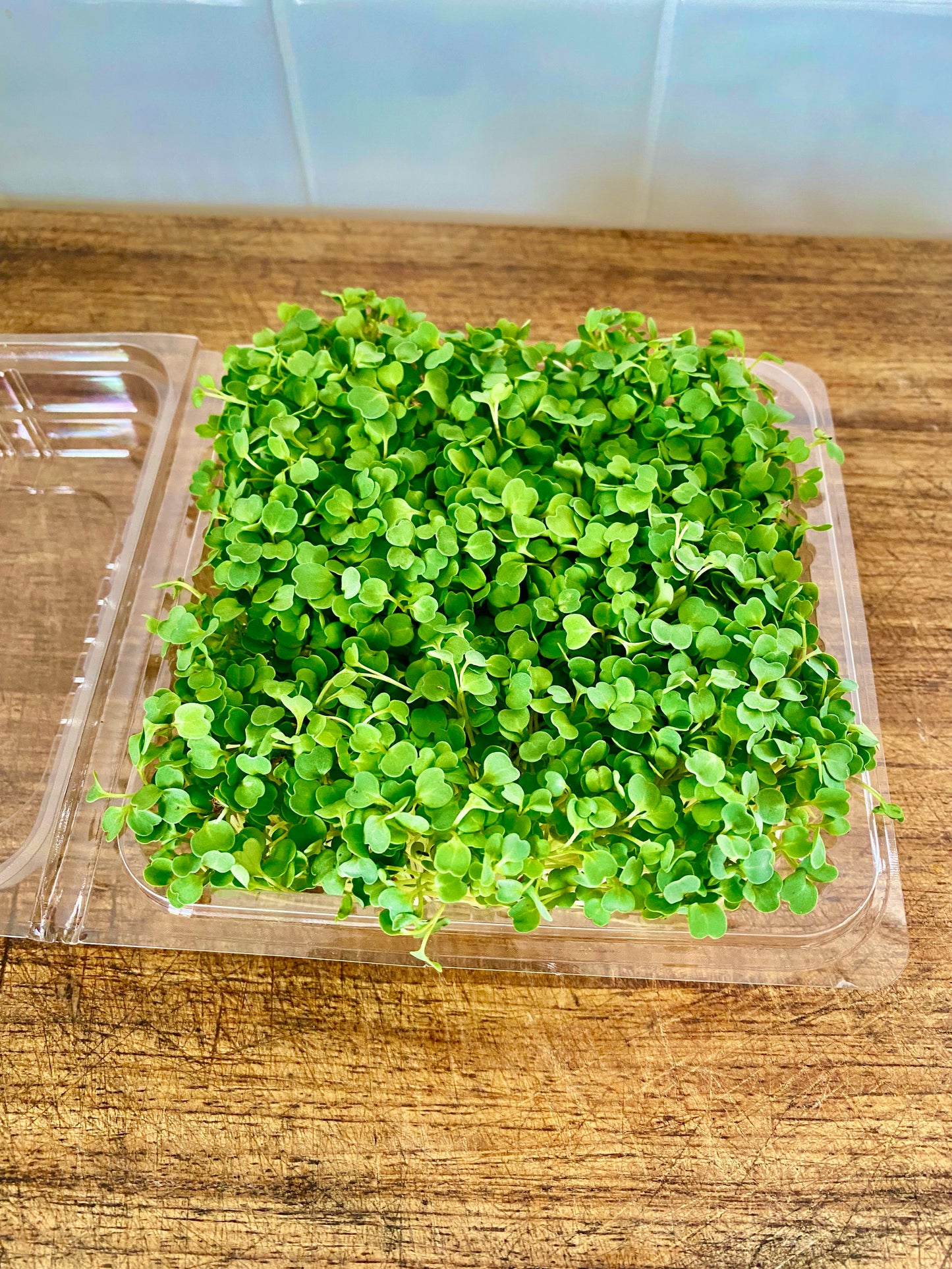 Microgreens - punnet