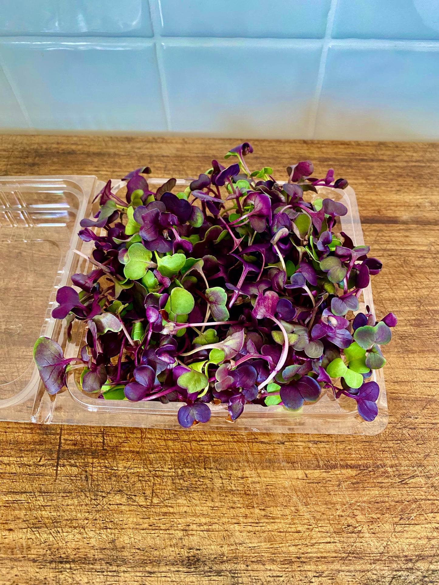 Microgreens - punnet