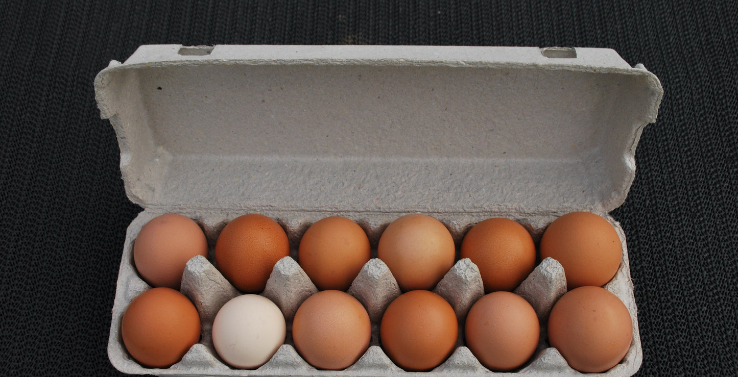 Farm Fresh Eggs - Carton 12 - 800g+