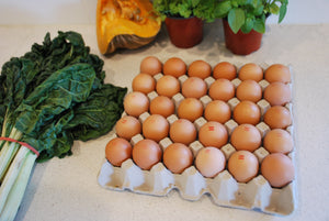 Farm Fresh Eggs - Tray 30 - 800g+ - Mussett Holdings