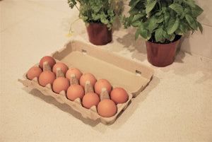 Farm Fresh Eggs - Carton 12 - 800g+ - Mussett Holdings