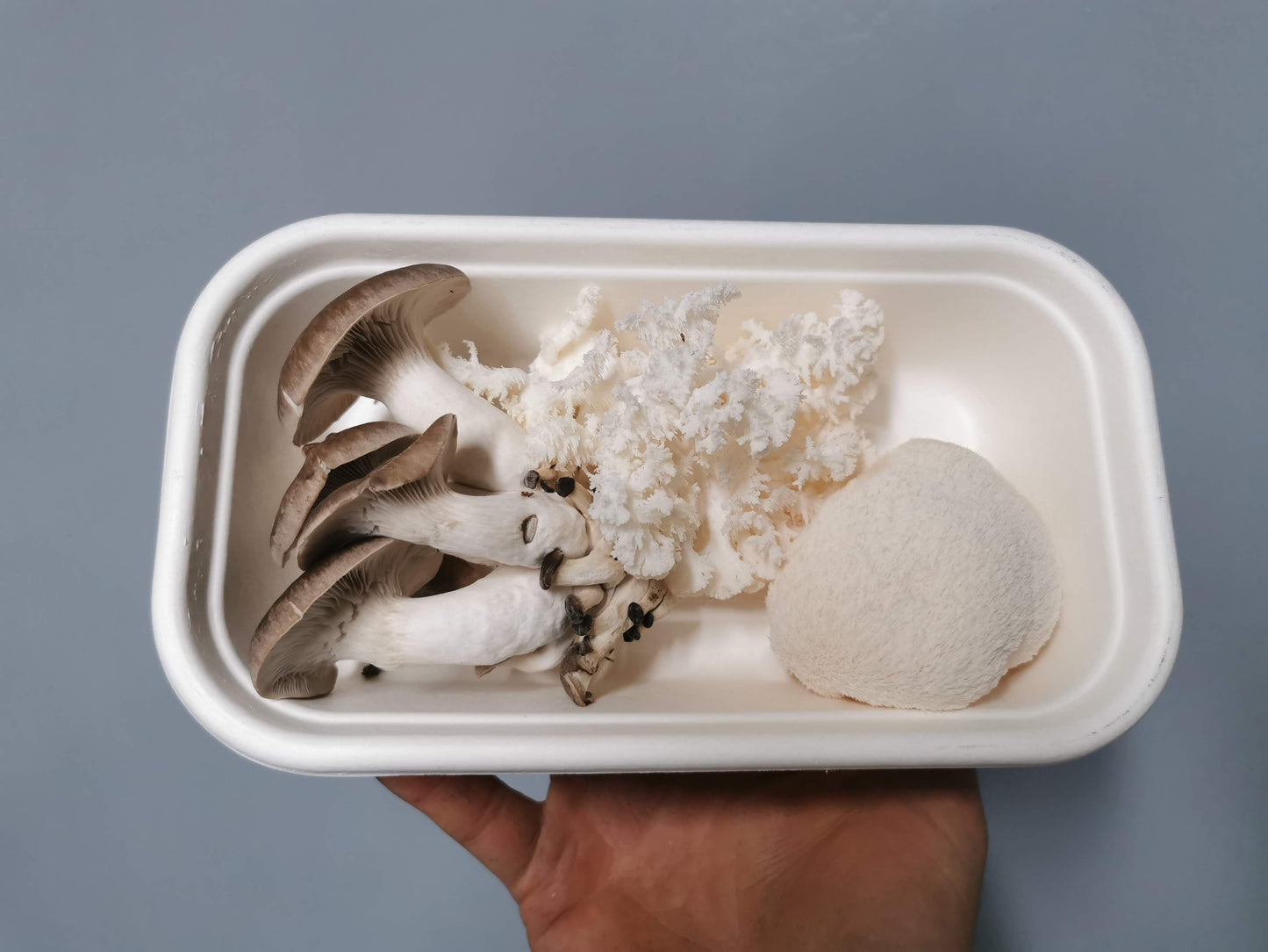 Mushroom Box - Gourmet